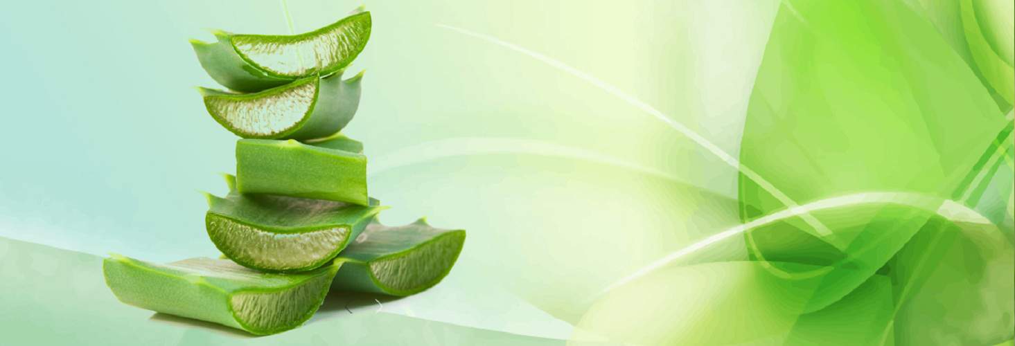 Banner Aloe Vera